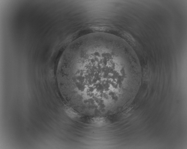 X0000072970377200607211229