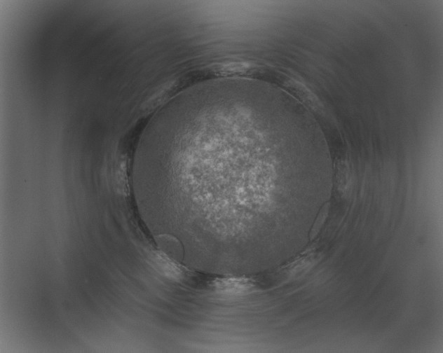 X0000072970378200607211229