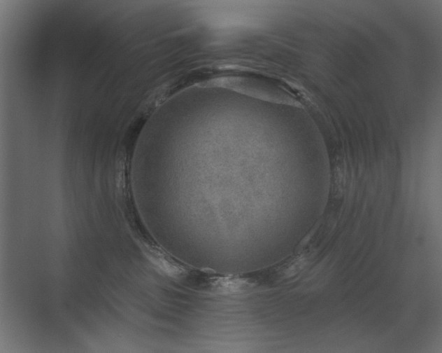 X0000072970379200607211229