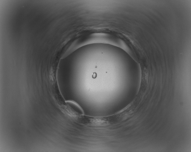 X0000072970380200607211229