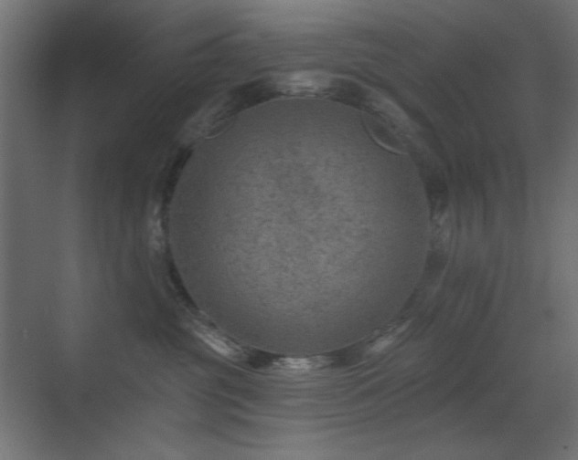 X0000072970381200607211229