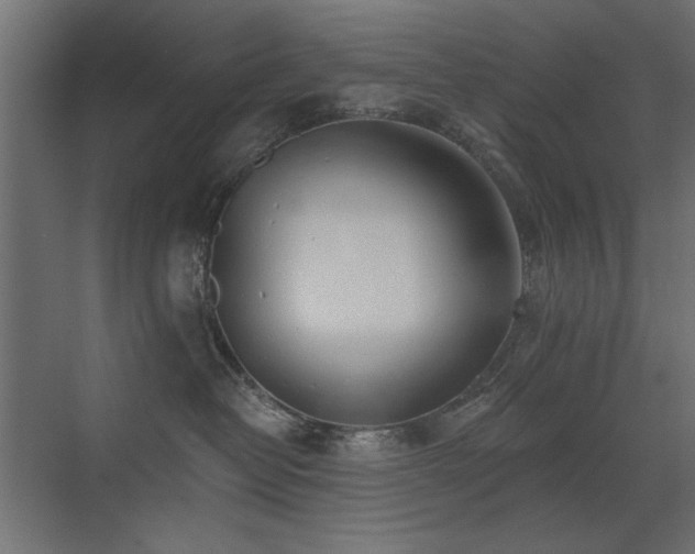 X0000072970382200607211230