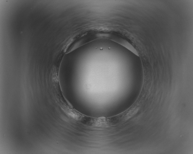 X0000072970384200607211230