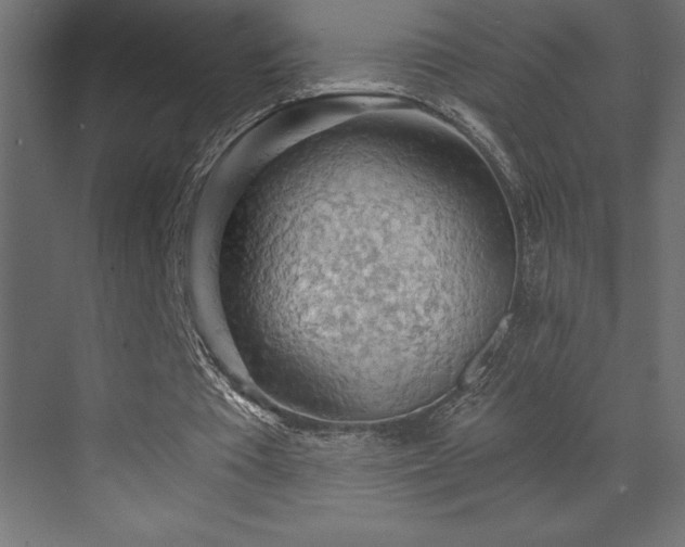 X0000072970385200607211229