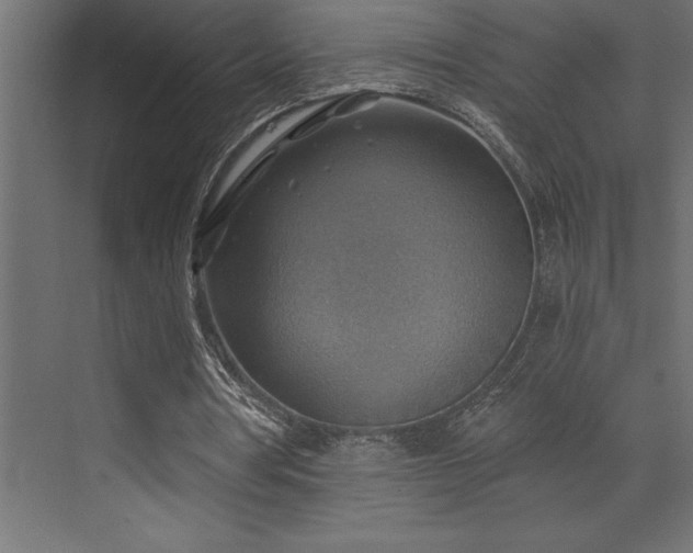 X0000072970386200607211229