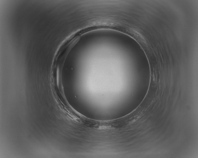 X0000072970388200607211229