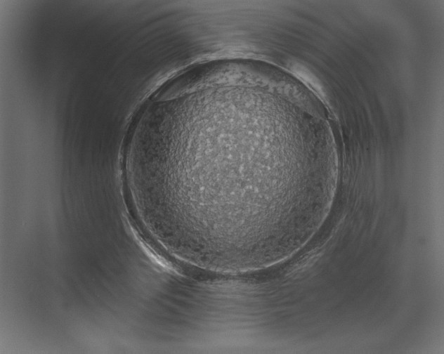 X0000072970389200607211229