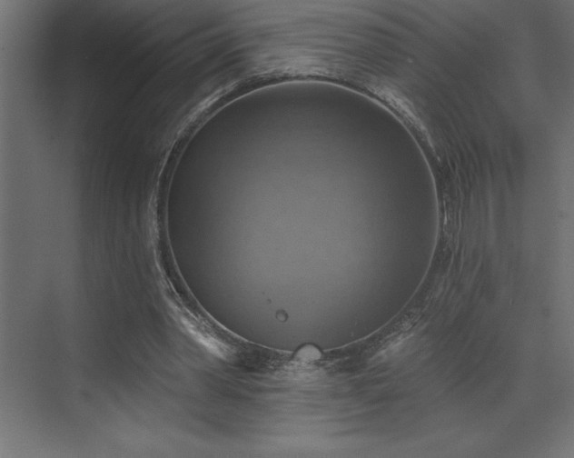 X0000072970390200607211229