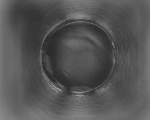 X0000072970391200607211229