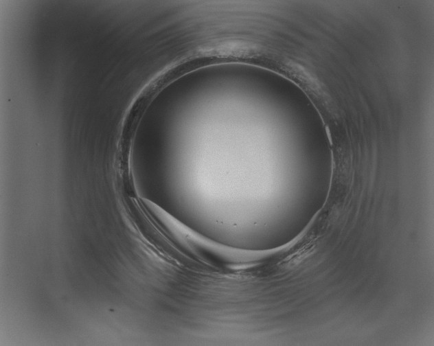 X0000072970392200607211229