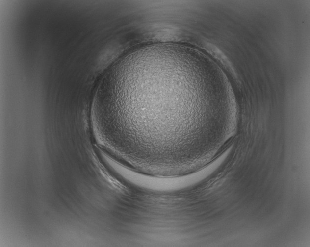 X0000072970393200607211229