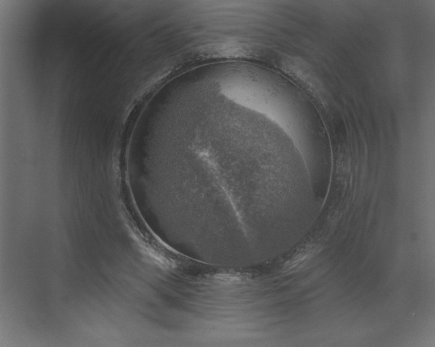 X0000072970394200607211229