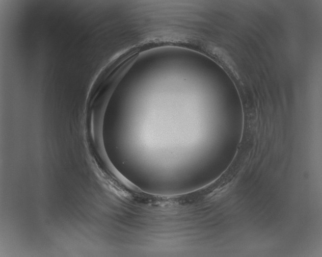 X0000072970395200607211229