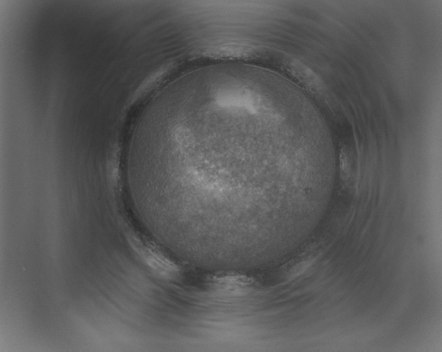 X0000072970396200607211229