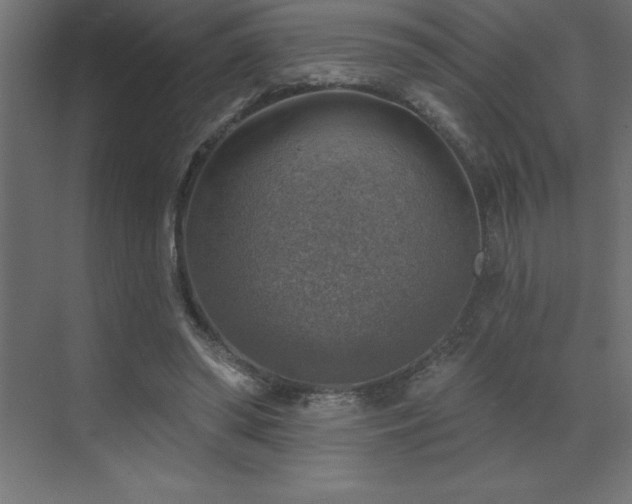 X0000072970398200607211229