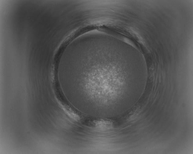 X0000072970400200607211228