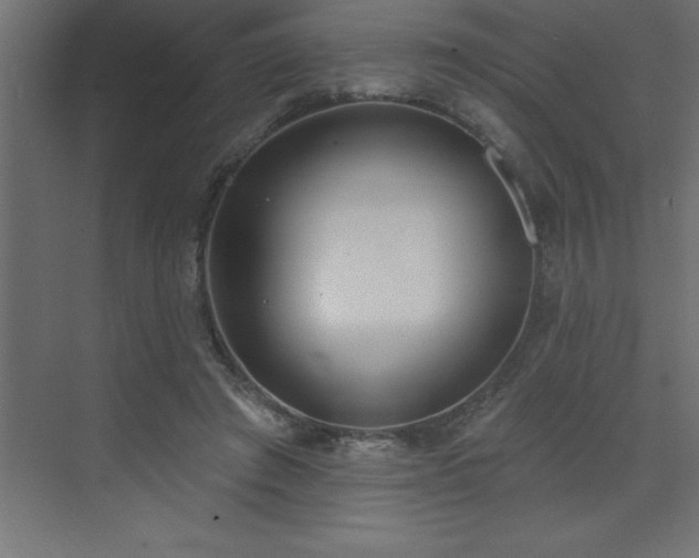 X0000072970401200607211228