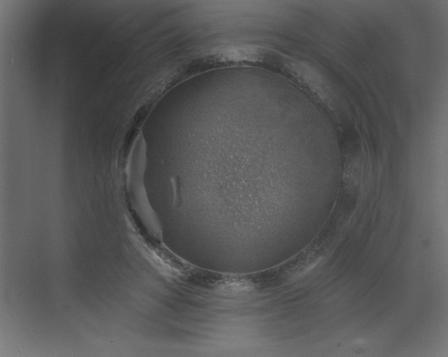 X0000072970402200607211228