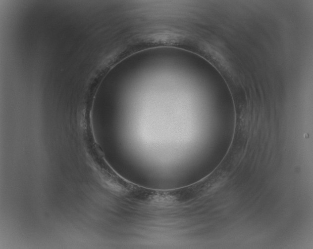 X0000072970403200607211228