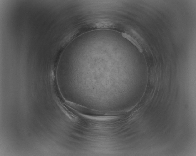 X0000072970405200607211228