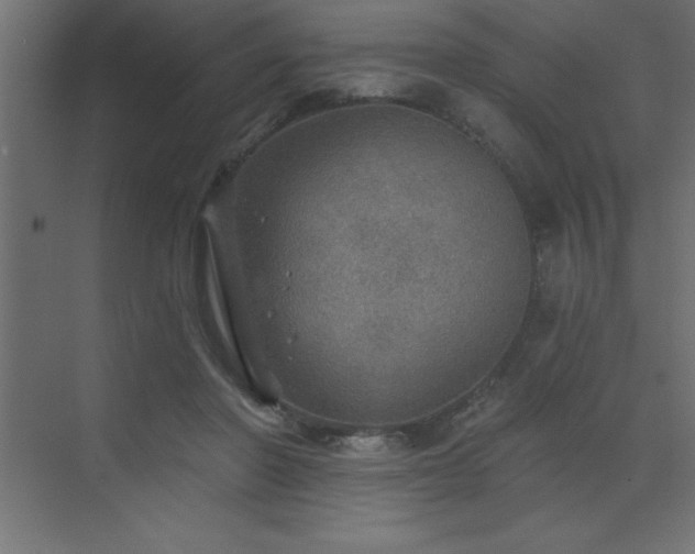 X0000072970406200607211228