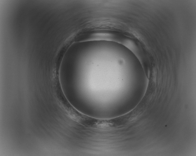 X0000072970407200607211228