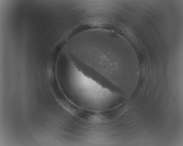 X0000072970408200607211228