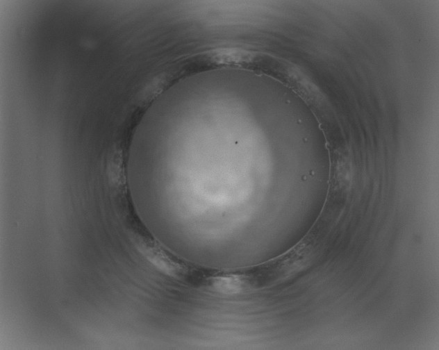 X0000072970411200607211228