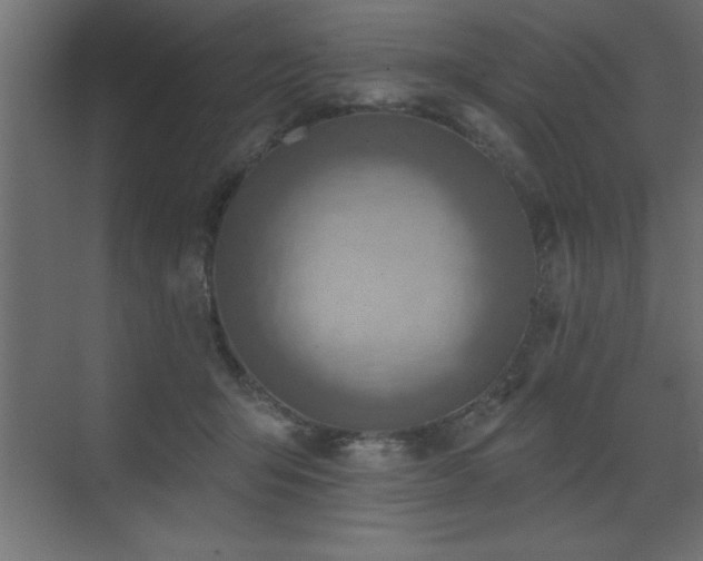 X0000072970415200607211228