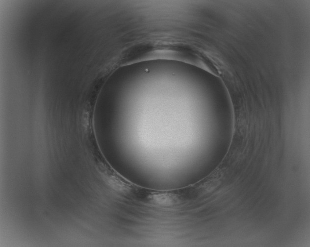 X0000072970417200607211228