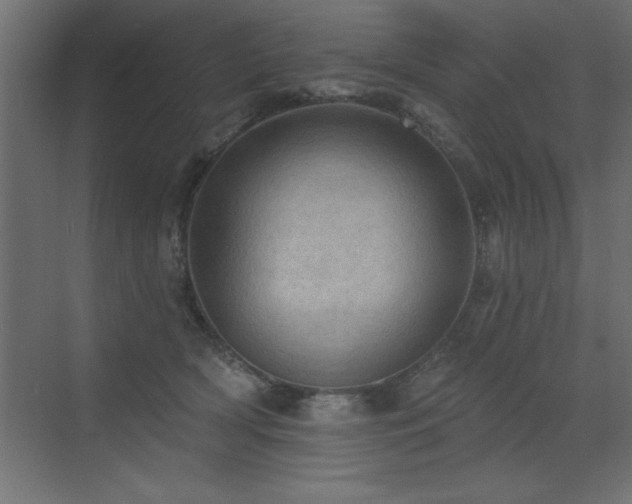 X0000072970418200607211228