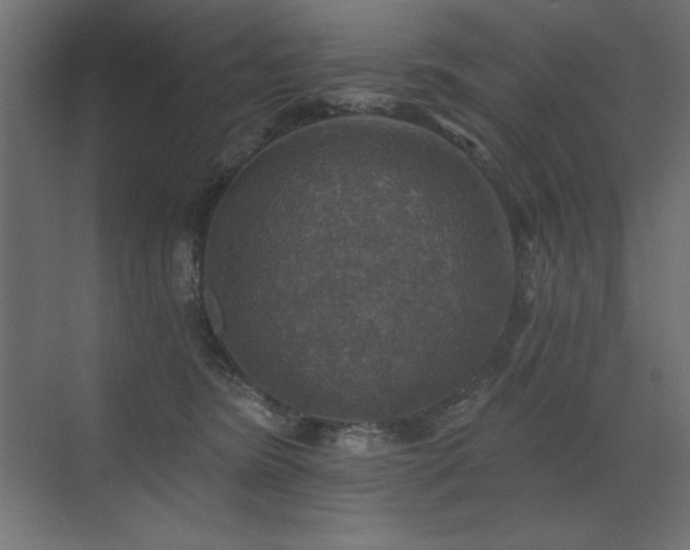 X0000072970420200607211228