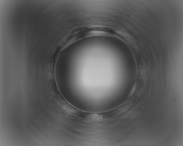 X0000072970421200607211228