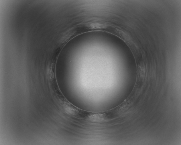 X0000072970422200607211228