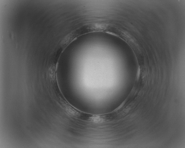 X0000072970425200607211228