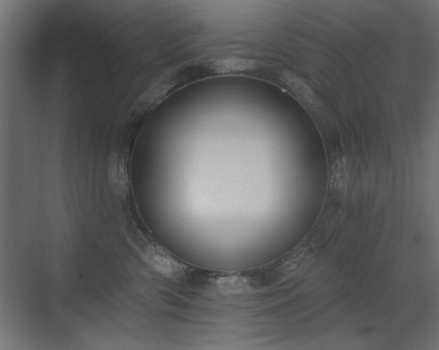 X0000072970426200607211228