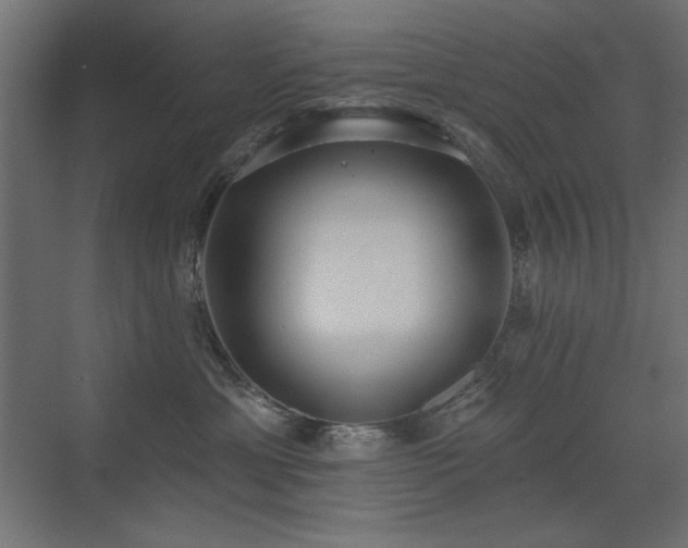 X0000072970429200607211228