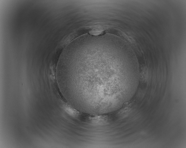 X0000072970430200607211228