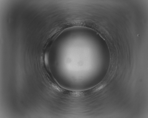 X0000072970432200607211228