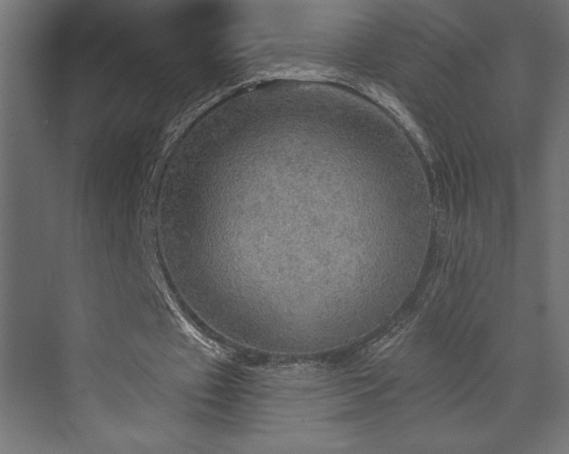 X0000072970433200607211227