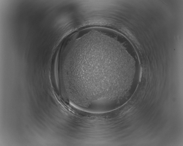 X0000072970434200607211227