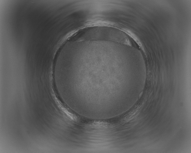 X0000072970437200607211227