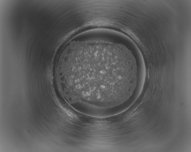 X0000072970438200607211227