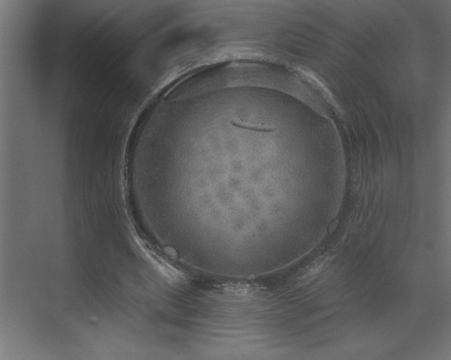 X0000072970439200607211227