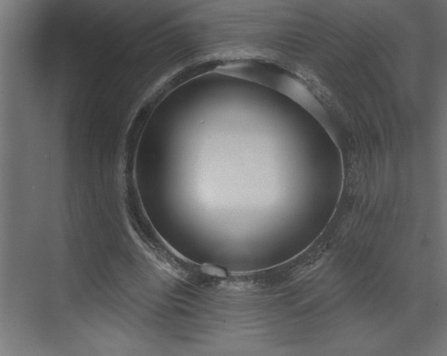 X0000072970440200607211227