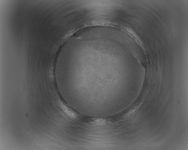 X0000072970441200607211227