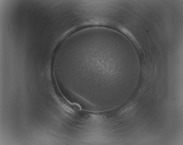 X0000072970442200607211227