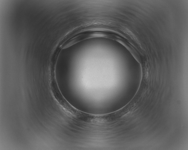 X0000072970444200607211227