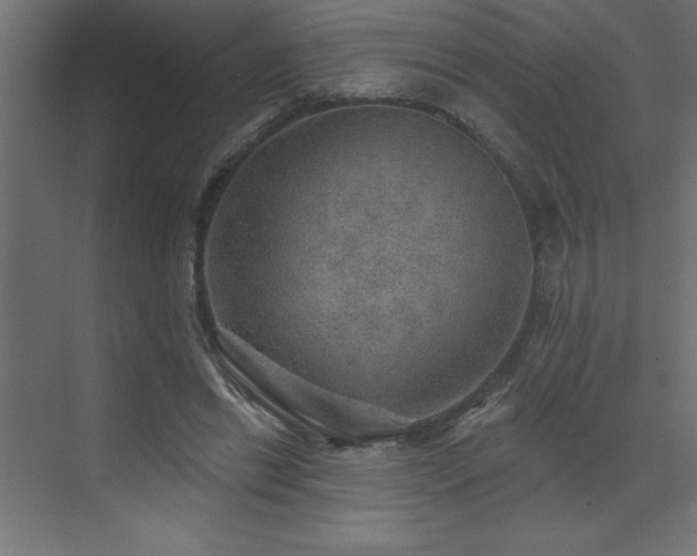 X0000072970446200607211227