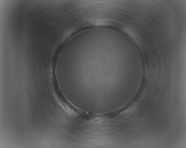 X0000072970447200607211227